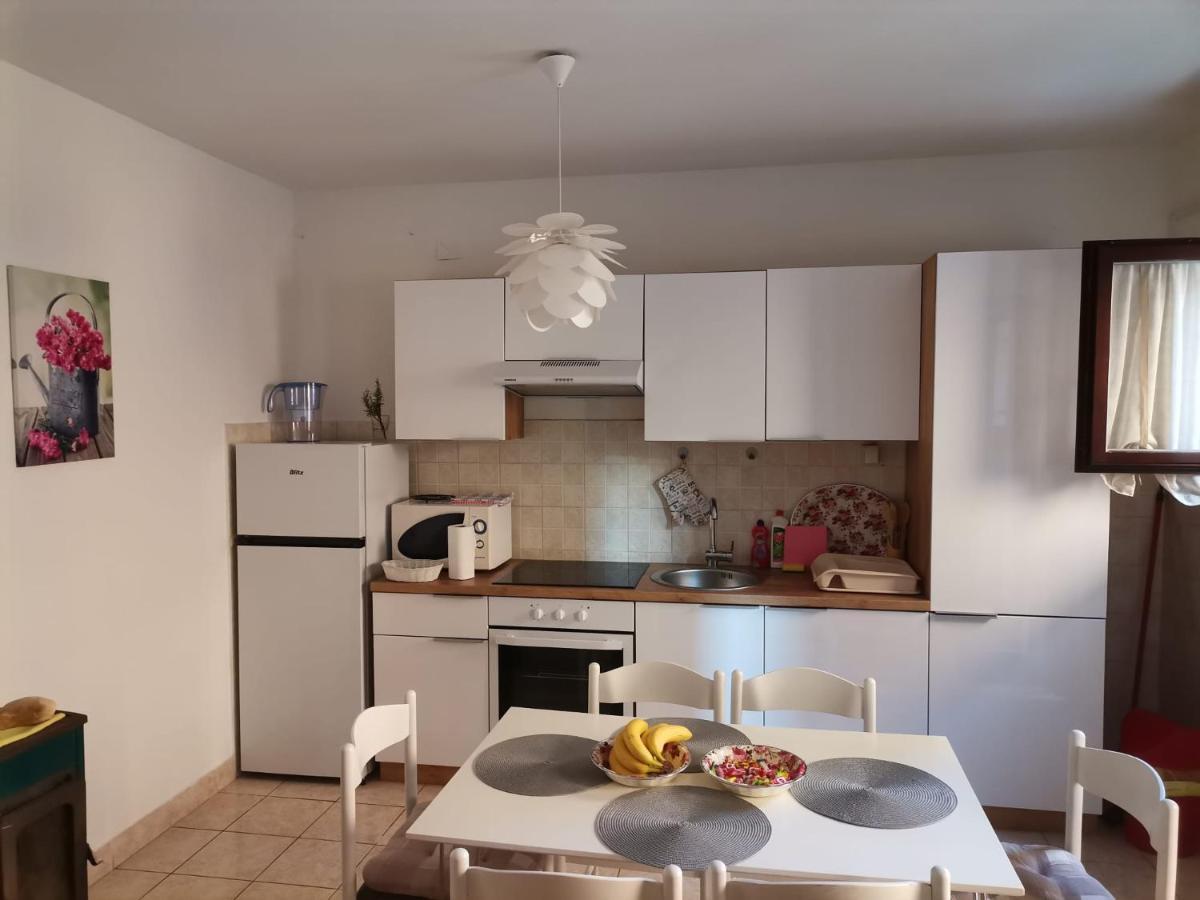 Delfin Apartments Zadar Buitenkant foto